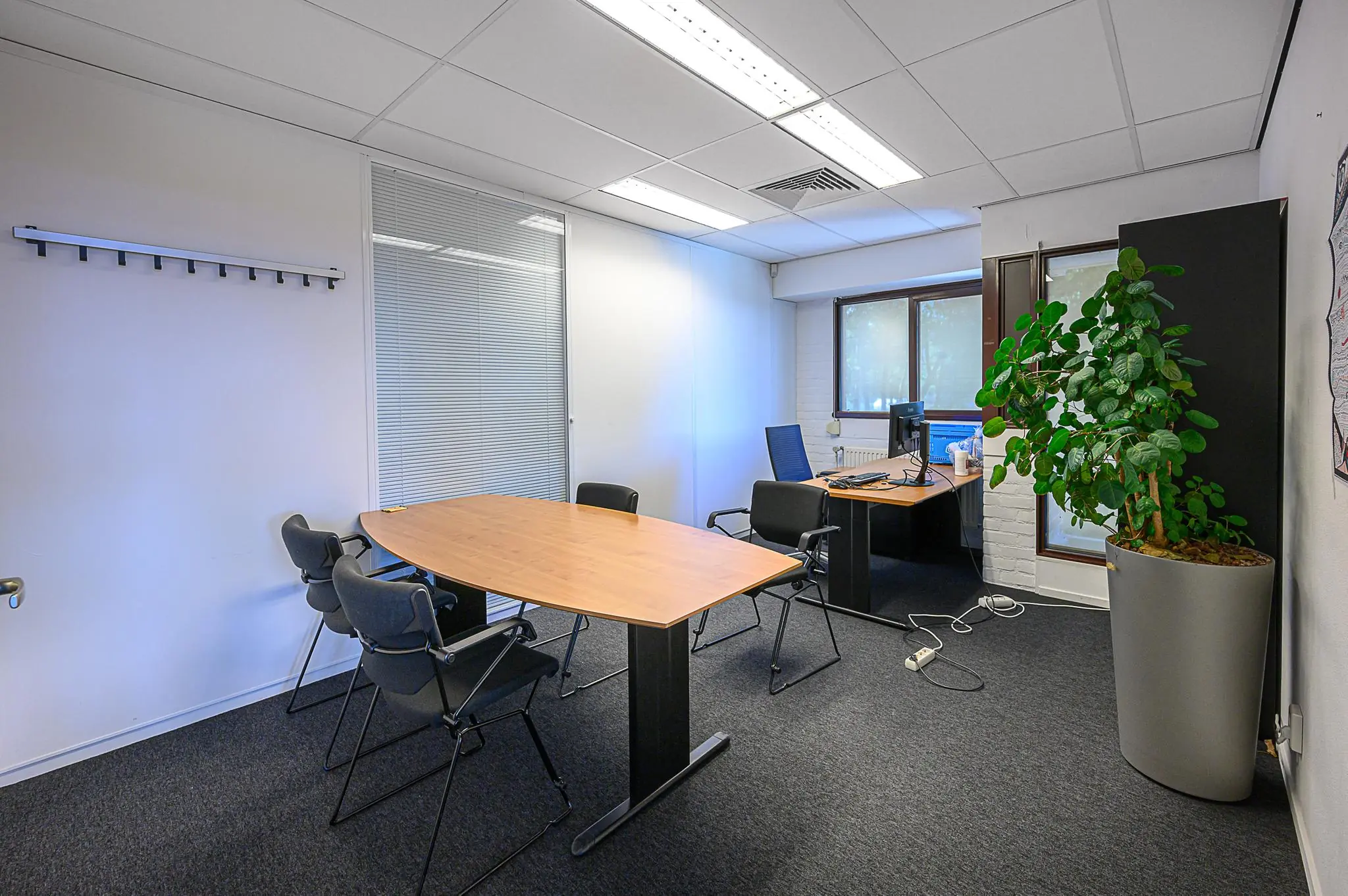 Modern kantoor met vergadertafel, bureaumeubilair en een grote kamerplant bij het raam.